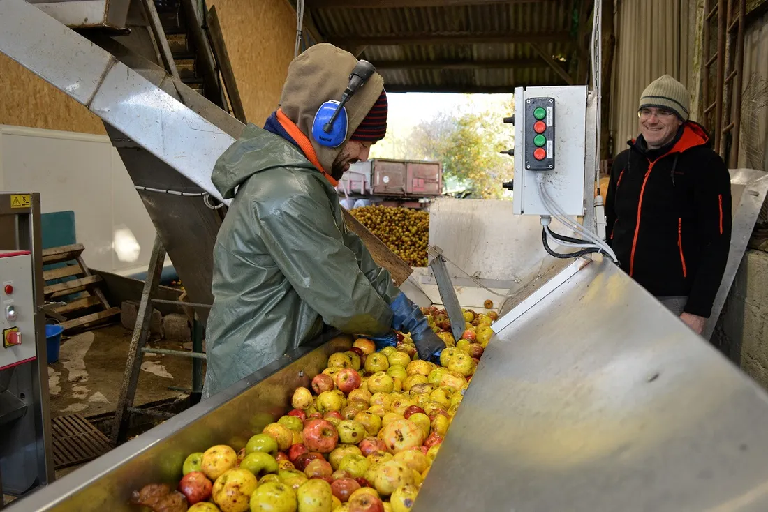 Cidrerie du Pays d'Auray